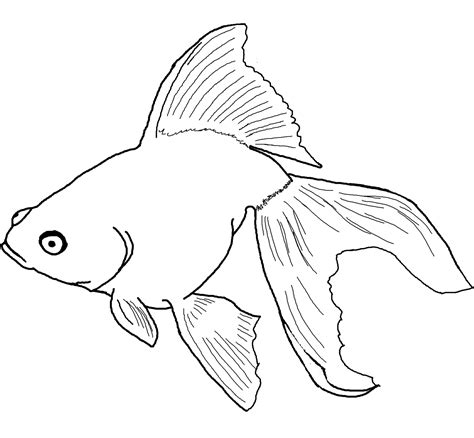 free printable pictures of fish.